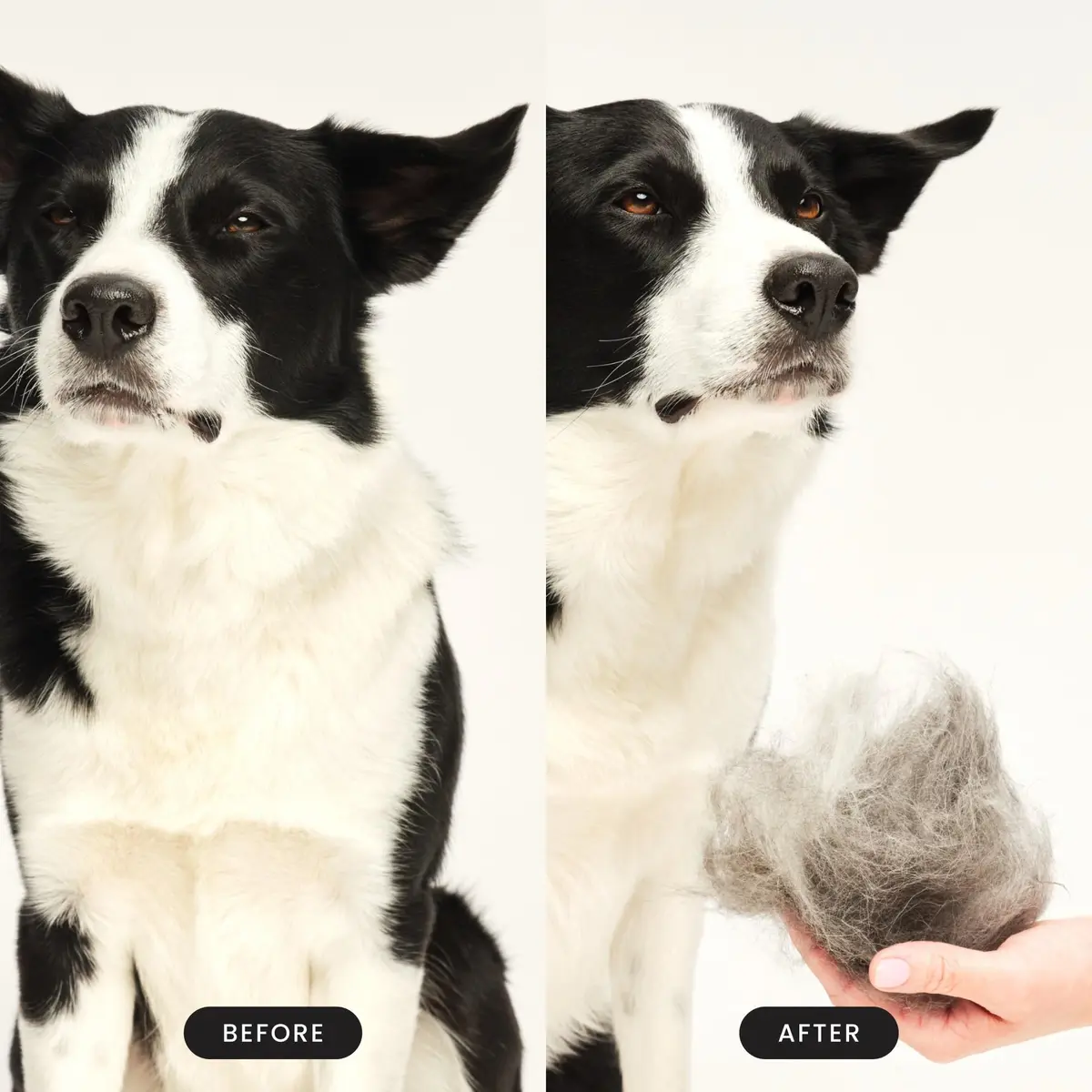 Tangle Teezer Large Pet Teezer De-Shedding Grooming Brush - Mint & Pink | Gentle, Effective Dog Grooming Tool - view 5