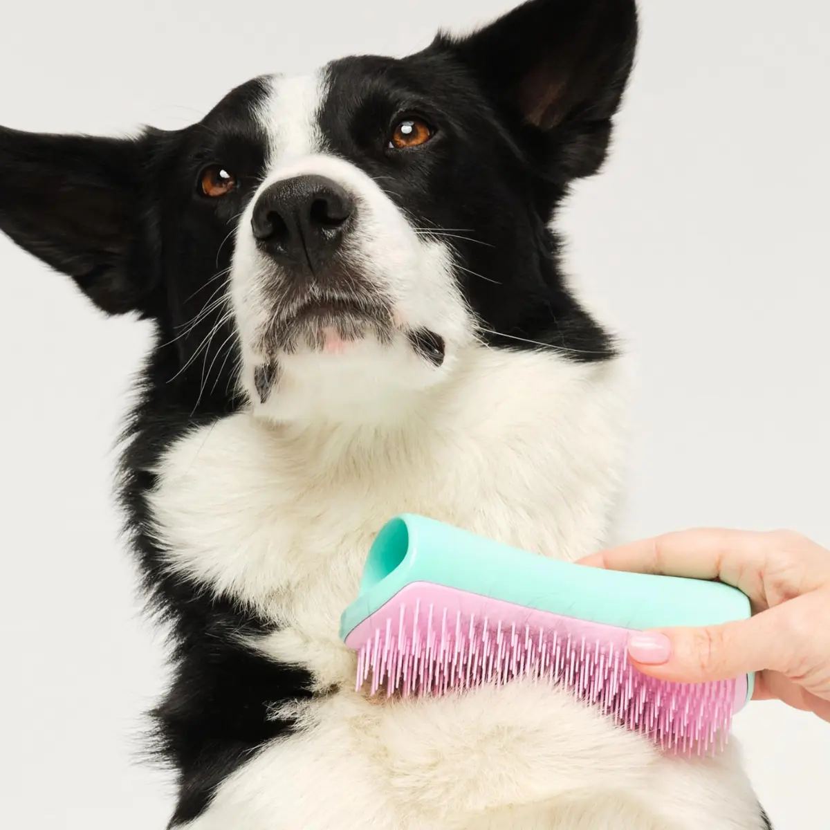 Tangle Teezer Large Pet Teezer De-Shedding Grooming Brush - Mint & Pink | Gentle, Effective Dog Grooming Tool - view 3