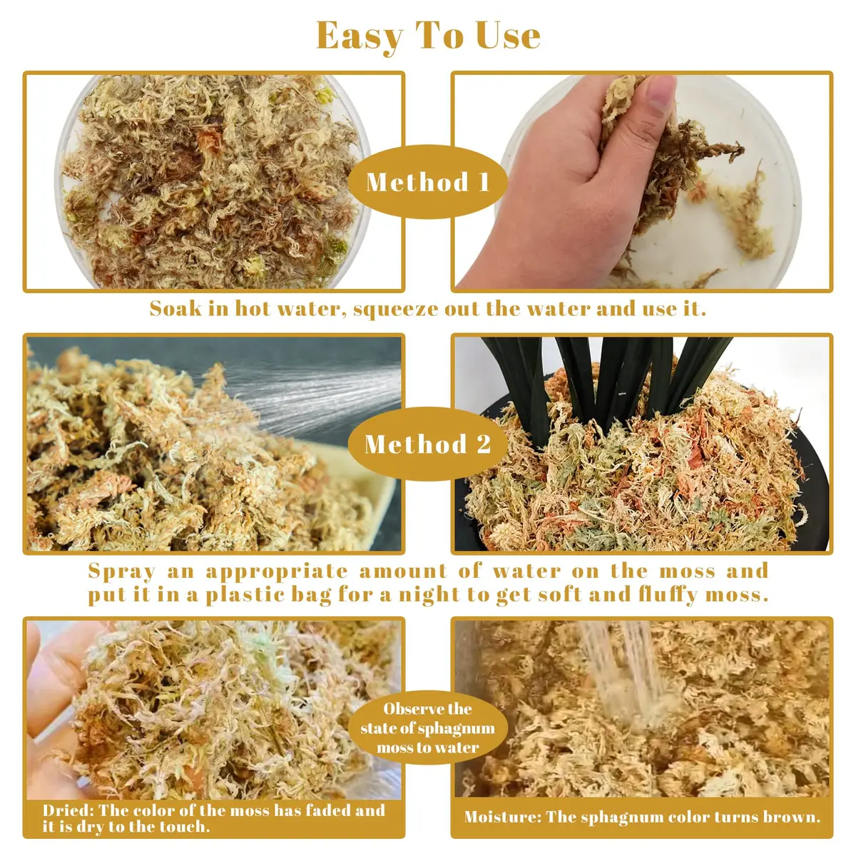 Legigo 2.2LB Sphagnum Moss for Plants | Natural Long Fibers Orchid Moss, 40QT - view 4