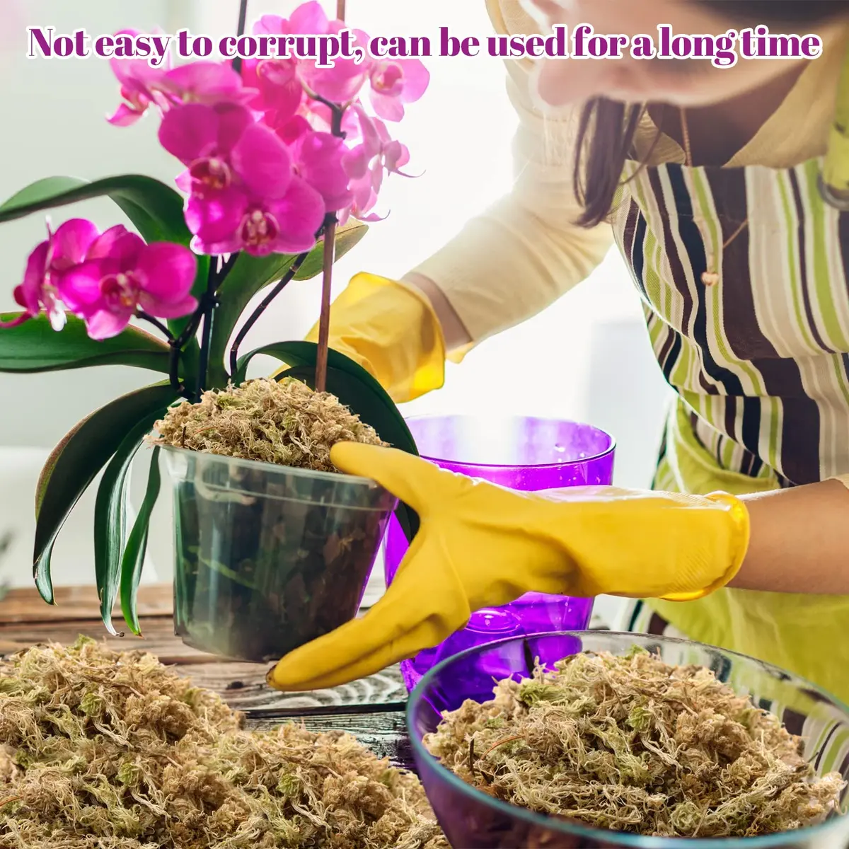 Legigo 5.3oz Sphagnum Moss for Plants | Natural Long Fibers Orchid Moss - view 6