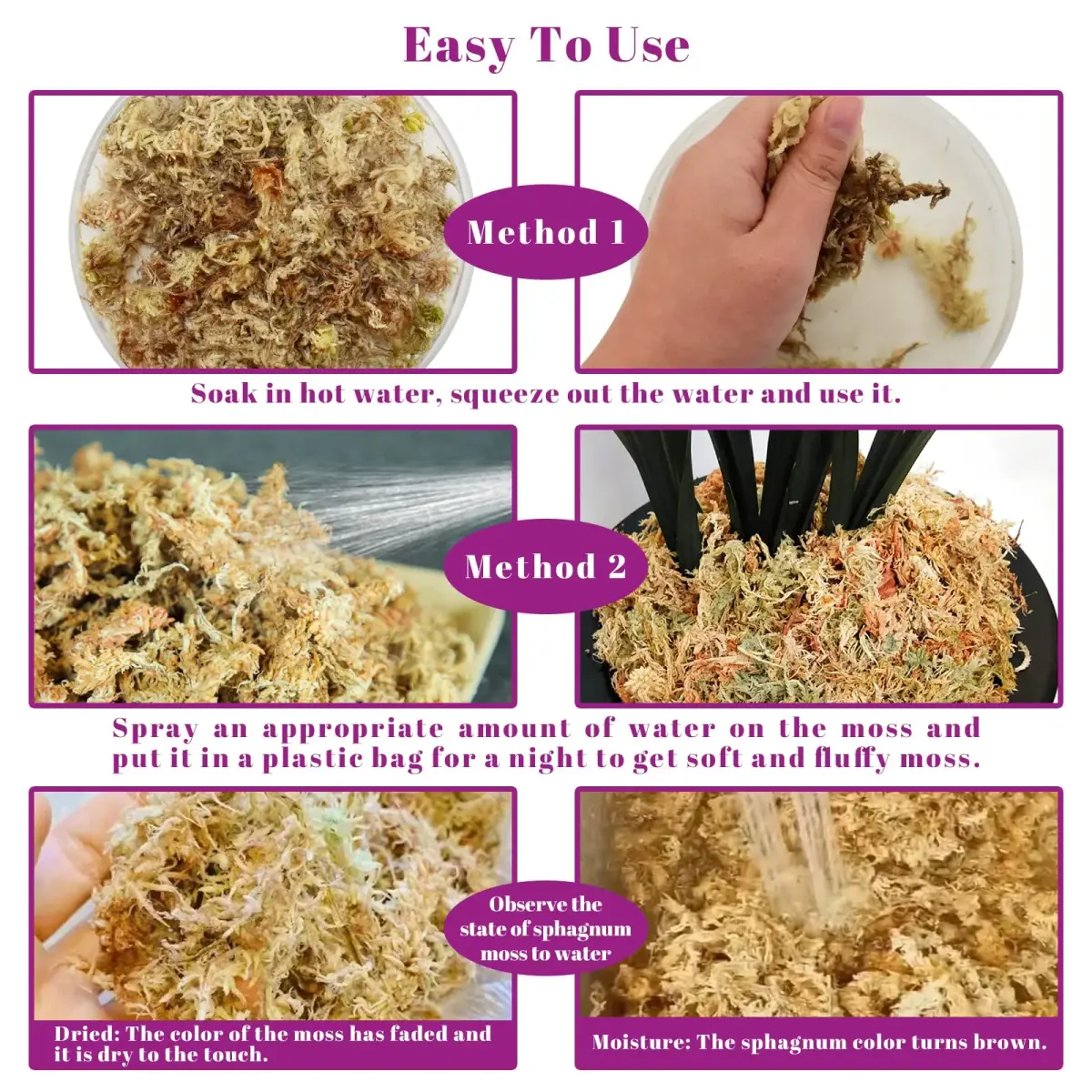 Legigo Premium Sphagnum Moss - 6 Quart (5.3 oz) Natural Long Fiber for Orchids & Succulents - view 4