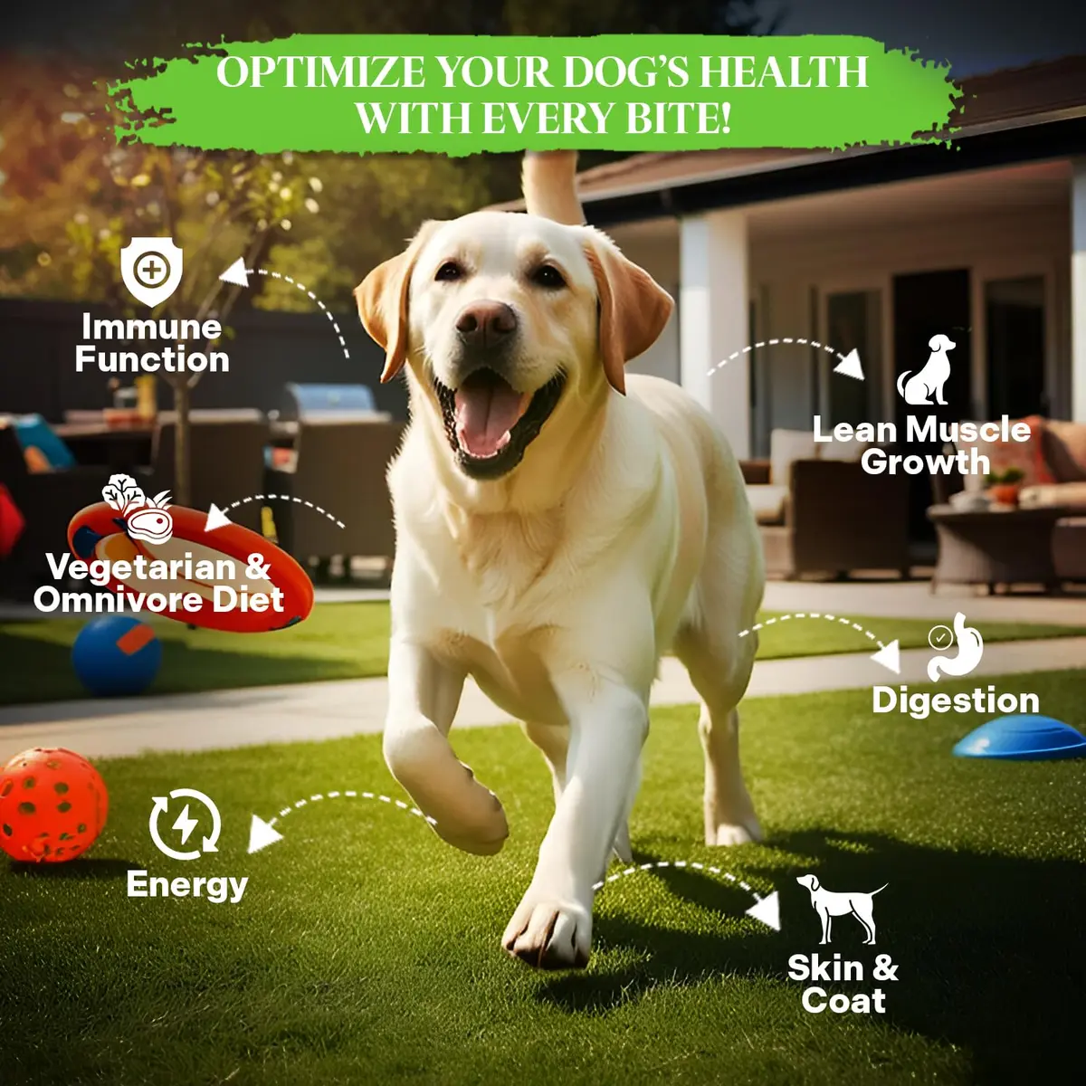 Healthy Dogma PetMix Dehydrated Dog Food 2 lbs | Natural, Preservative-Free, Vegetarian & Omnivorous Nutrition - view 2