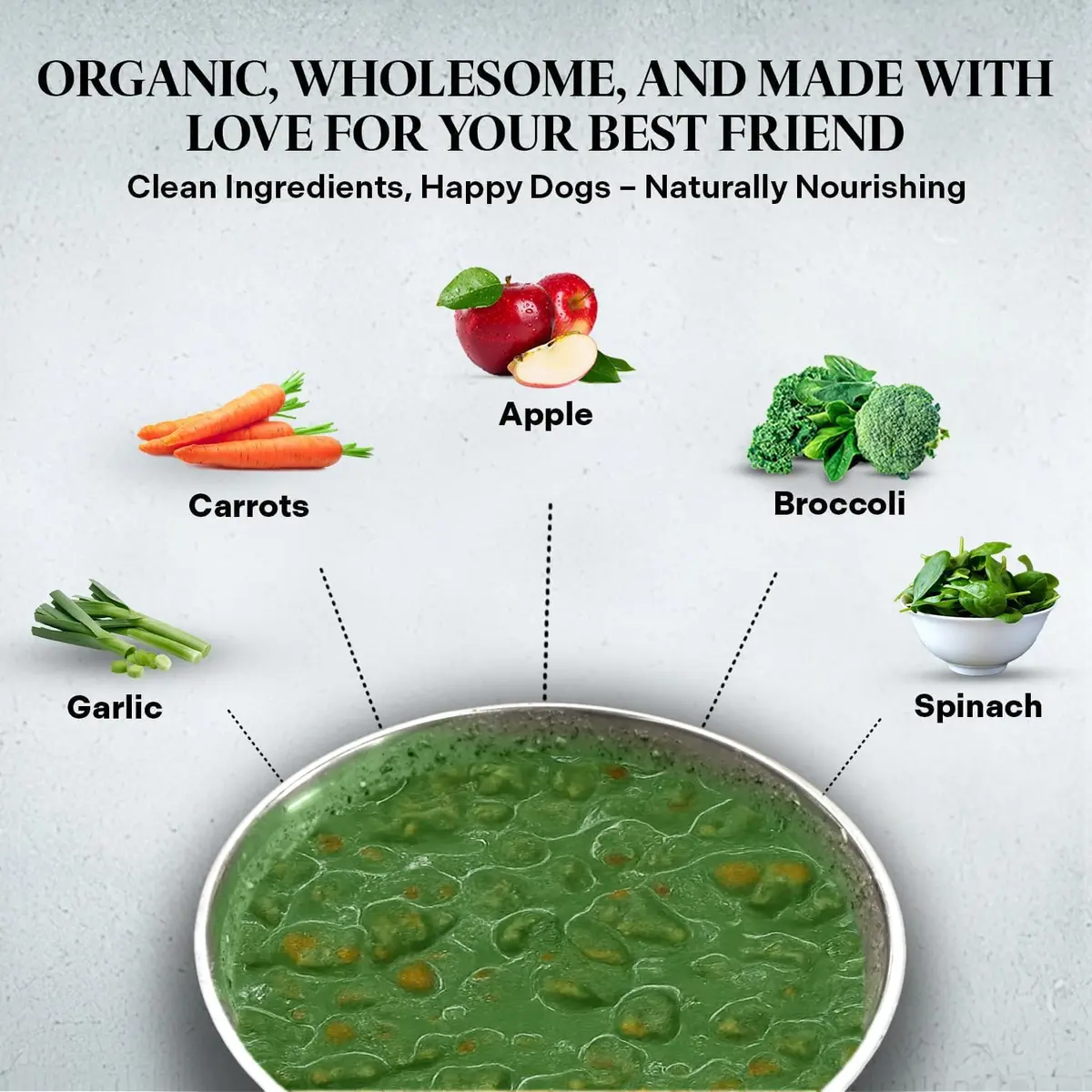 Healthy Dogma PetMix Dehydrated Dog Food 2 lbs | Natural, Preservative-Free, Vegetarian & Omnivorous Nutrition - view 3