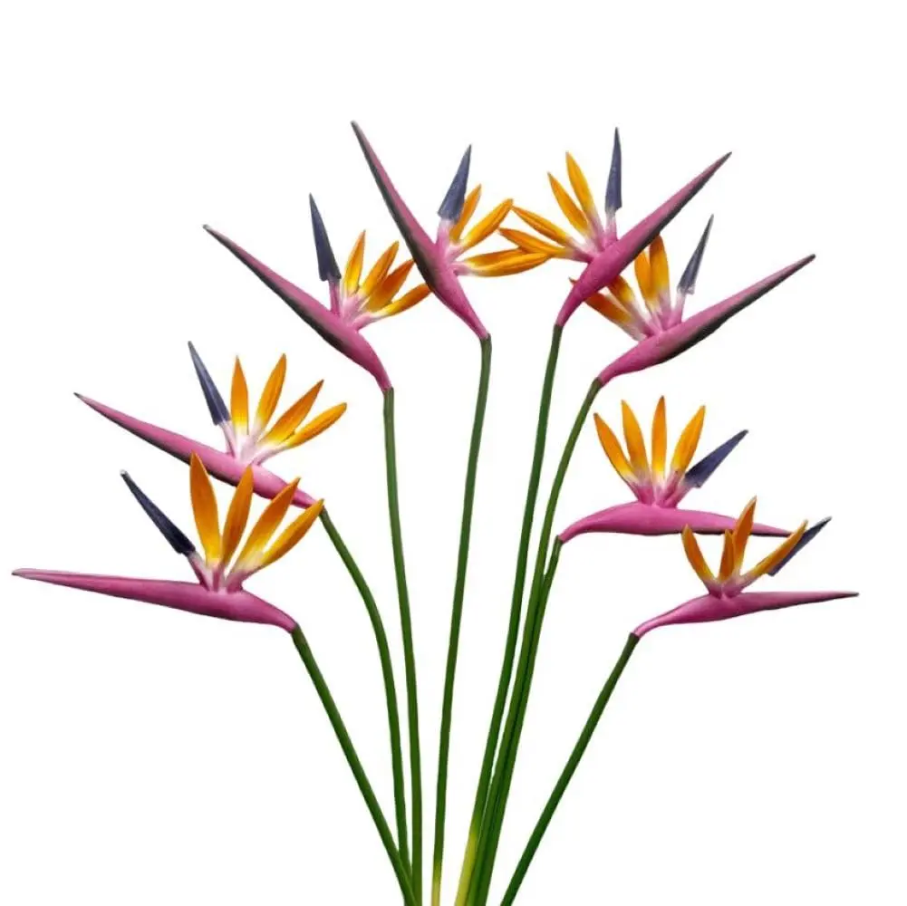Corkwaw Purple Bird of Paradise Artificial Flowers 55cm (21.5 Inch) Pack of 8 | Realistic Style for Home Decor - view 6