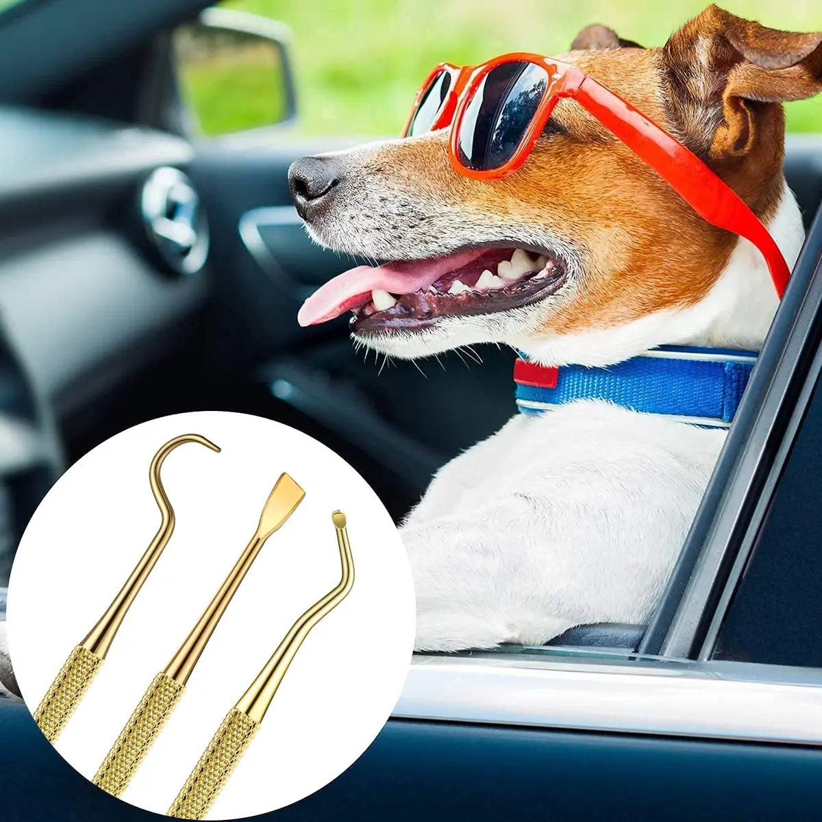 Hotop Dog Tooth Scaler Scraper Dental Tool Stainless Steel,Gold | Pet Dental Care for Tartar Removal - view 6