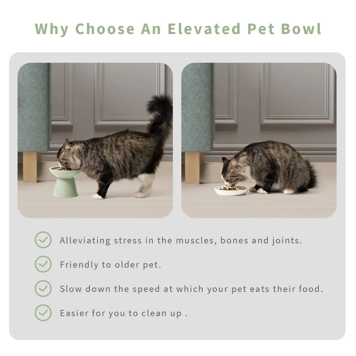 CEEFU 2-Pack Elevated Ceramic Cat Bowls Extra Wide for Food & Water | Whisker-Friendly, Stable & Stylish - view 6