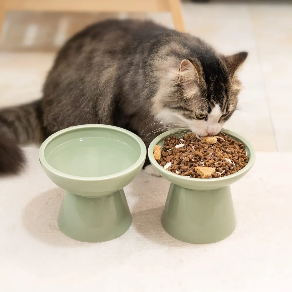 CEEFU 2-Pack Elevated Ceramic Cat Bowls Extra Wide for Food & Water | Whisker-Friendly, Stable & Stylish - view 7