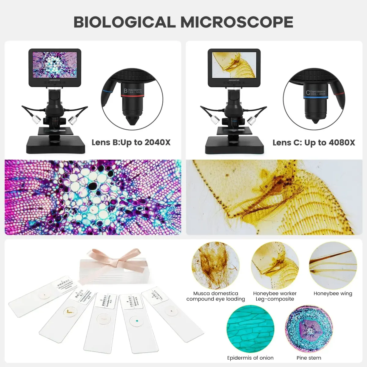 Andonstar AD246S-P HDMI Digital Microscope with 7'' Screen, 4000x 3 Lens | UHD 2160P Video Record, Coin & Biological Use - view 6
