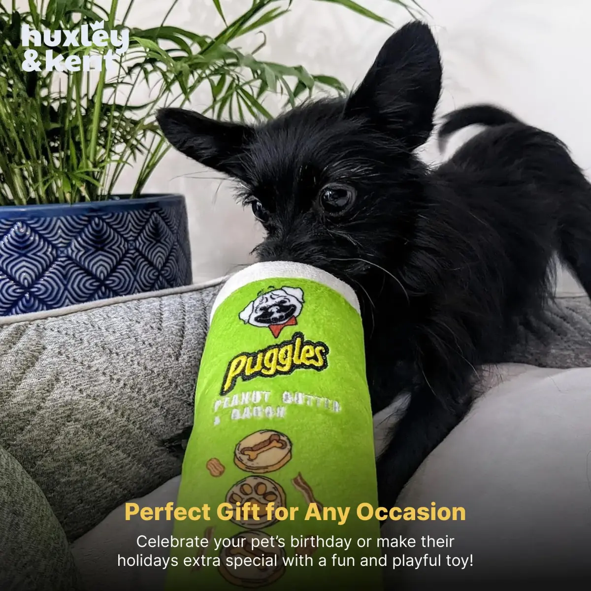 Huxley & Kent Power Plush Squeaky Dog Toy, Puggles Can, Small (6.5 x 2.5 x 2.5 inches / 16.5 x 6.4 x 6.4 cm) - view 8