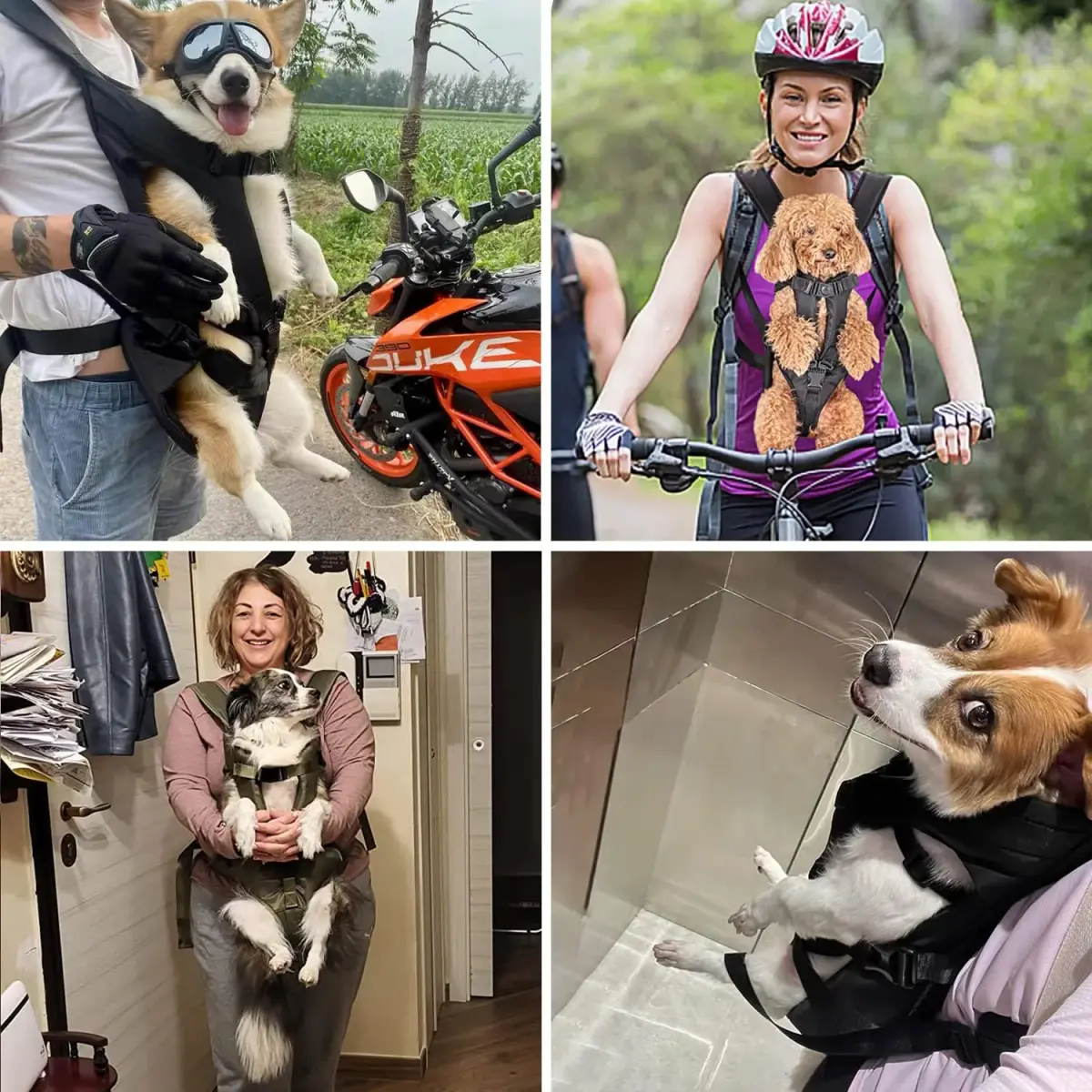 PetBonus Black XL Dog Carrier Backpack | Hands-Free Hiking Cycling Travel - view 6