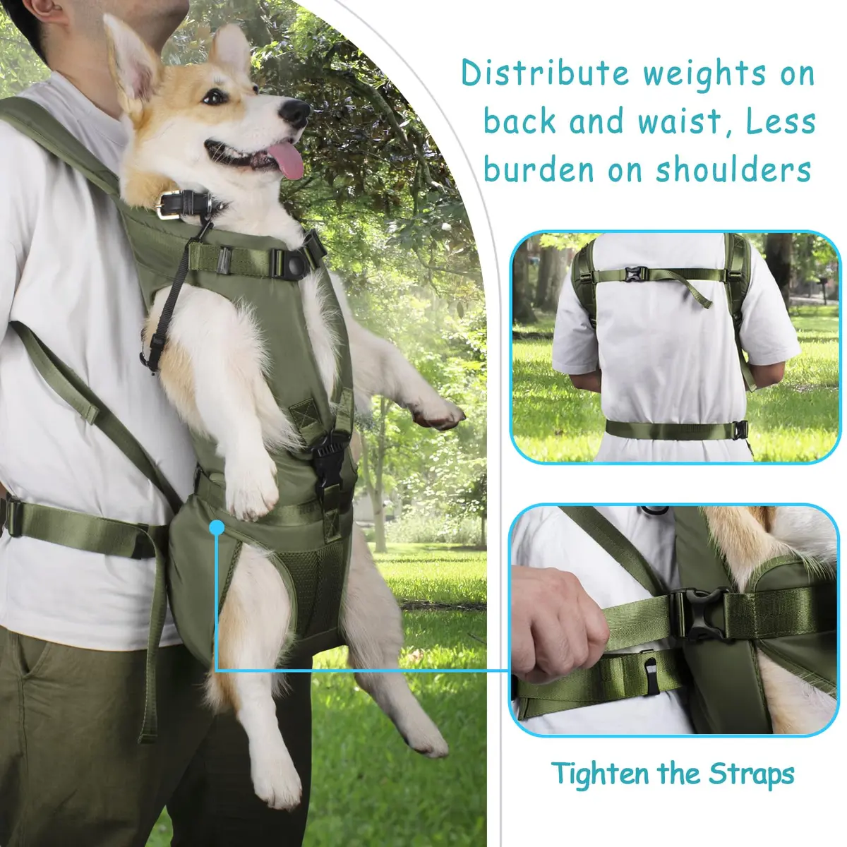 PetBonus Dog Front Carrier Backpack for Small & Medium Dogs | Breathable & Adjustable (14.8"L x 12.1"W x 3.9"H) - view 3
