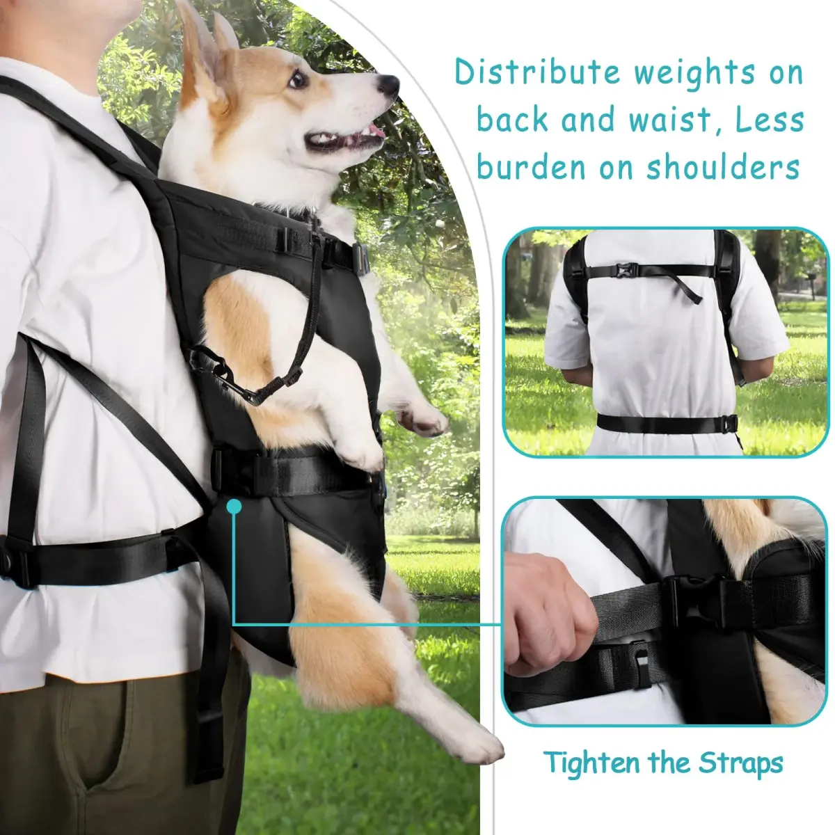 PetBonus Pet Front Dog Carrier Backpack M Black | Hands-Free Hiking & Cycling for Small-Medium Dogs - view 3