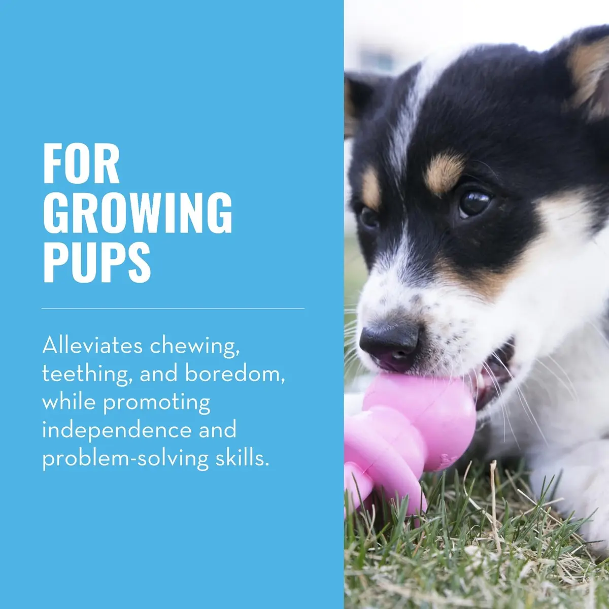 KONG Puppy Binkie | Natural Rubber Teething Toy for Medium Puppies, Pink - view 2