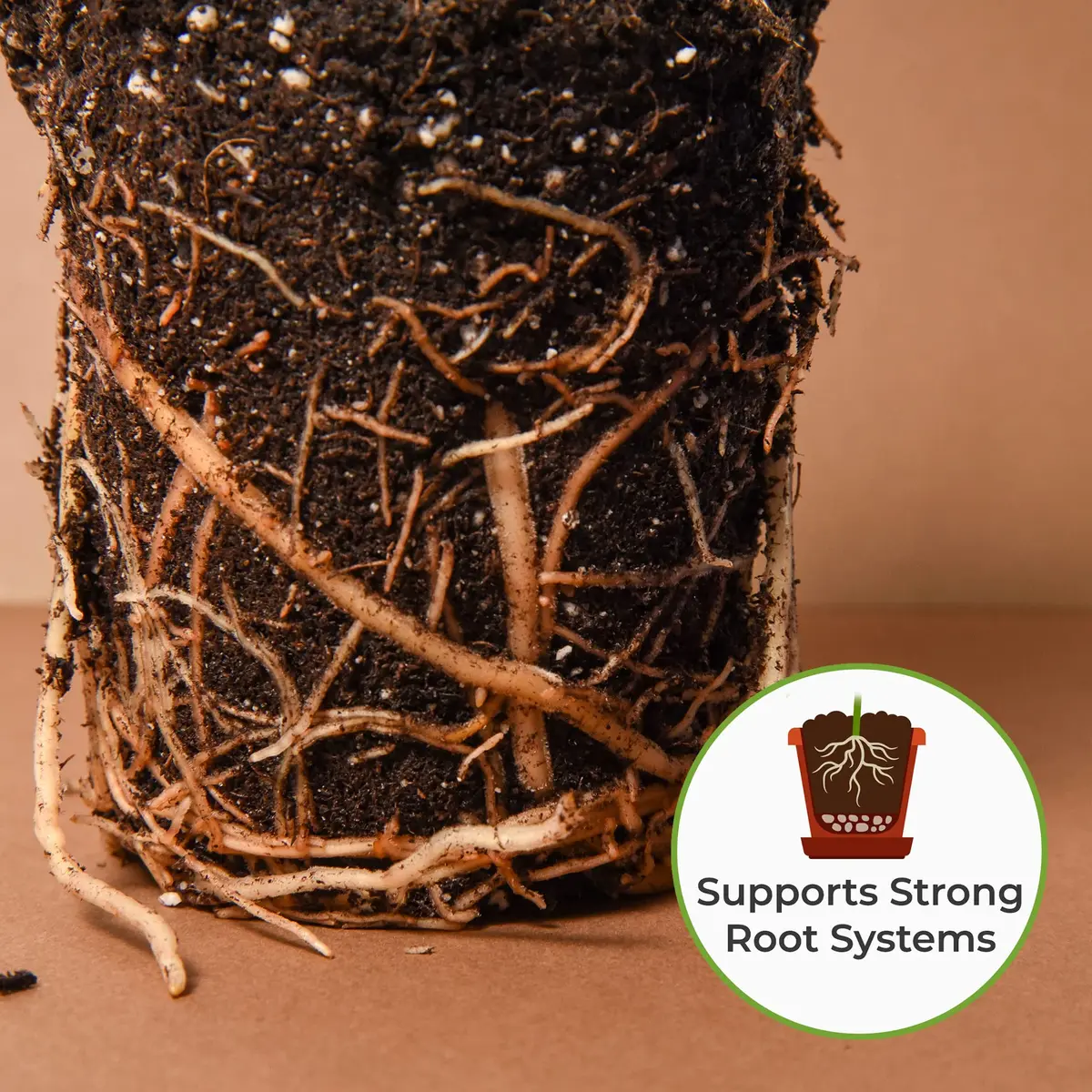Perfect Plants Snake Plant Soil, 8 qt | Fast Drainage & All-Natural Materials - view 5