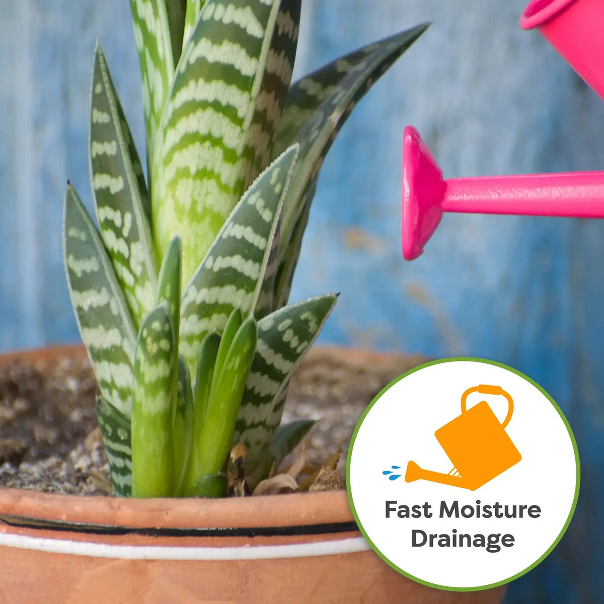 Perfect Plants Snake Plant Soil, 8 qt | Fast Drainage & All-Natural Materials - view 4