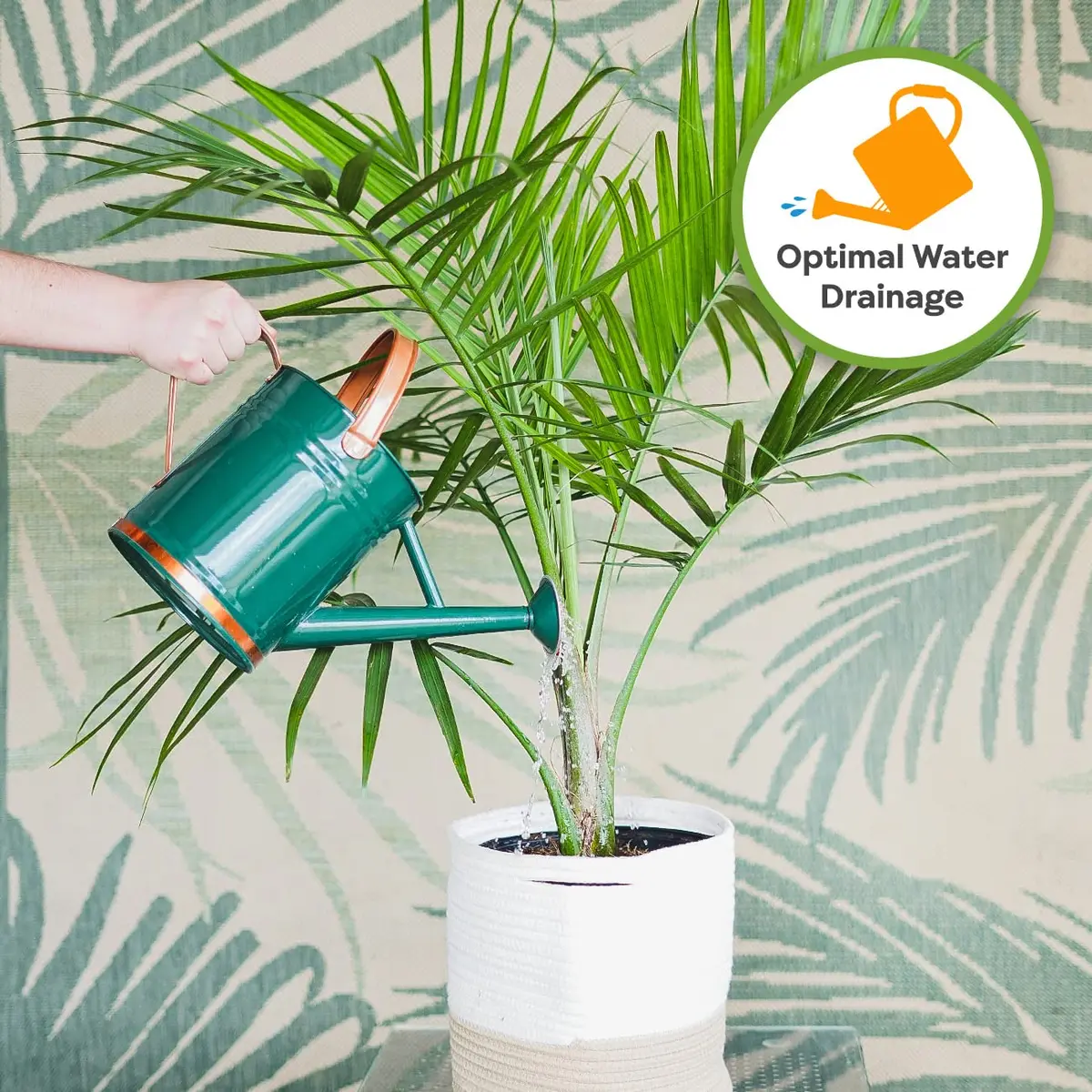 Perfect Plants Indoor Plant Soil, 8 qt, Coco Coir Potting Mix | All-Natural, Fast Drainage, Suitable for Monstera & Aloe - view 5