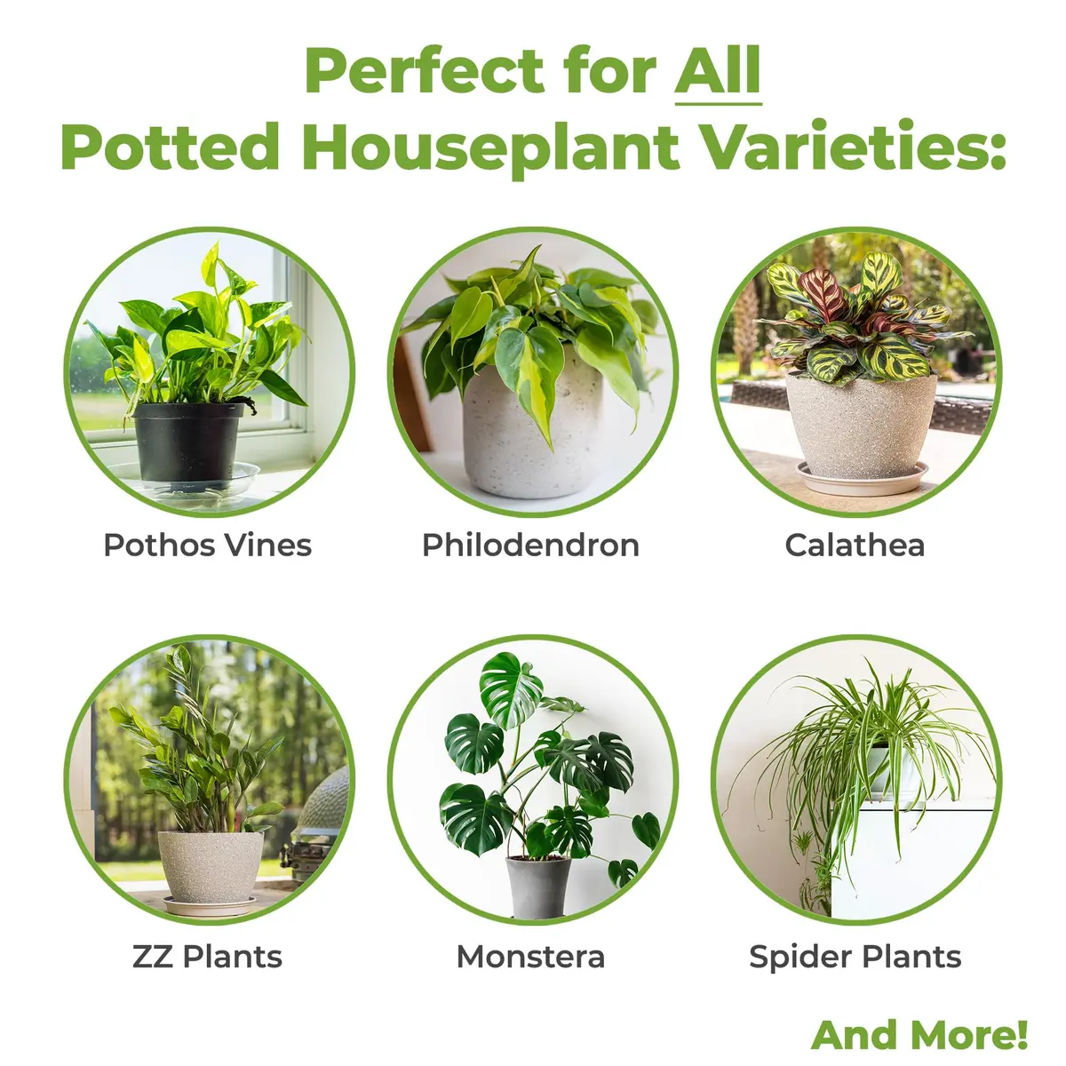 Perfect Plants Indoor Plant Soil, 8 qt, Coco Coir Potting Mix | All-Natural, Fast Drainage, Suitable for Monstera & Aloe - view 3
