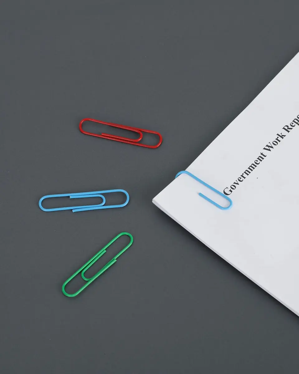 PAPERPAL Colorful Vinyl Coated Paper Clips, 50 mm (2 in) & 33 mm (1-2/7 in), 540 Count | Assorted Colors for Office & School - view 5