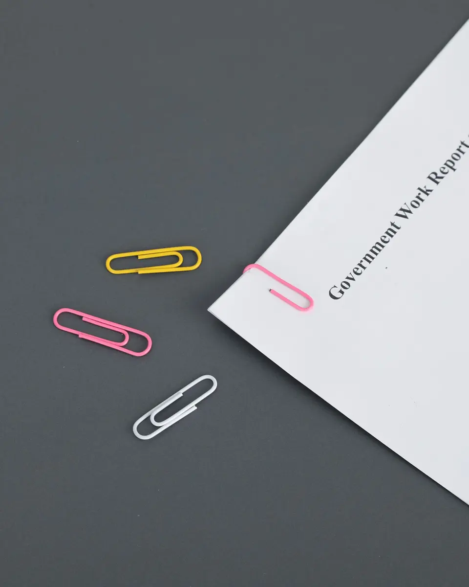 PAPERPAL Colorful Vinyl Coated Paper Clips, 50 mm (2 in) & 33 mm (1-2/7 in), 540 Count | Assorted Colors for Office & School - view 6