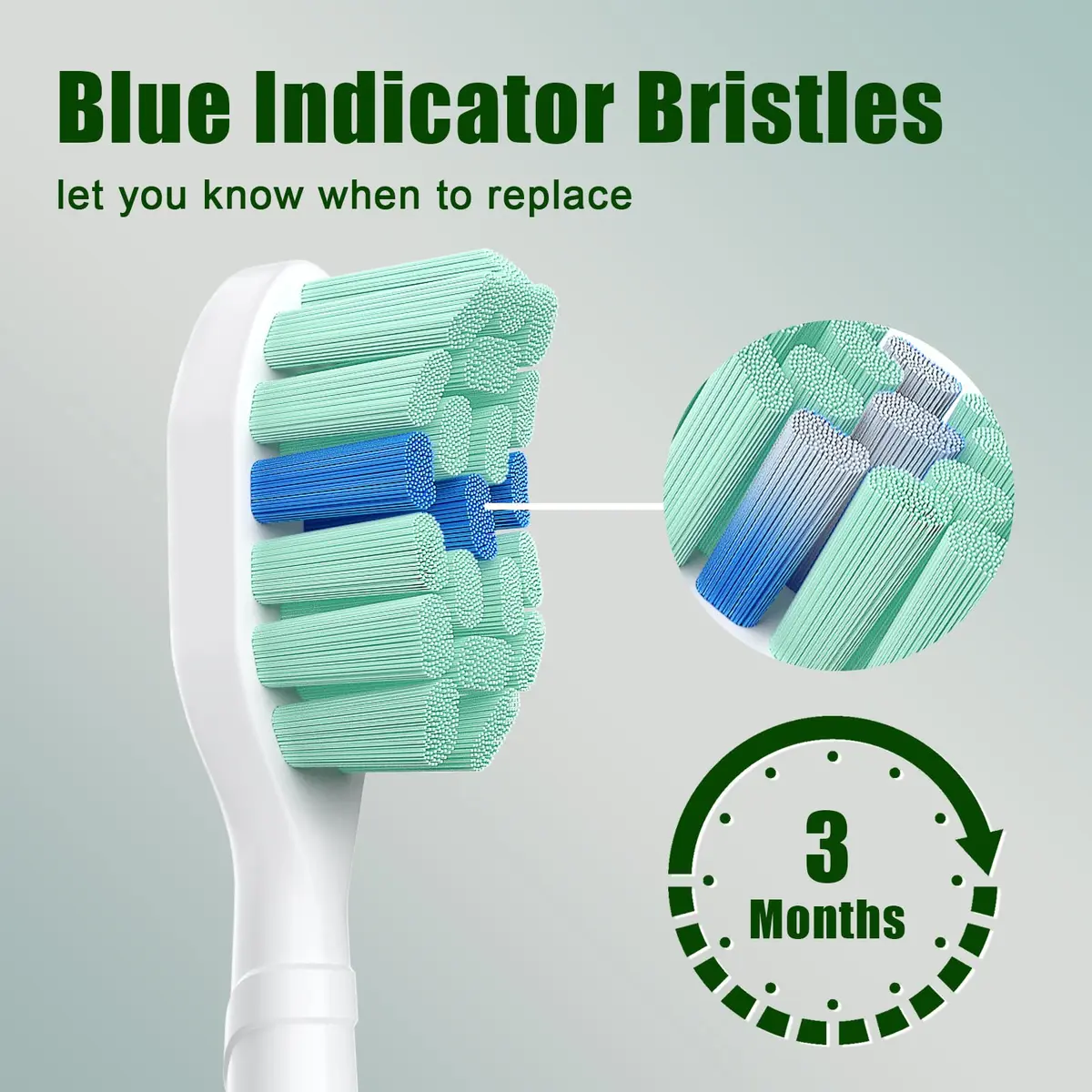 toptheway Toothbrush Replacement Heads Compatible with Philips Sonicare 10 Pack | Plaque Control & Gentle Bristles - view 6