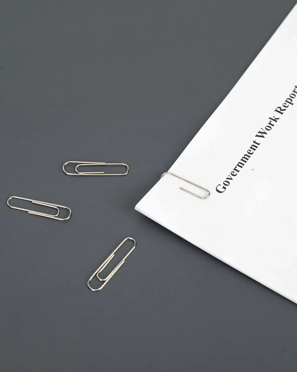 PAPERPAL Smooth Paper Clip #1 Size (33mm x 8mm) | 600 Count Silver Alloy Steel Clips - view 6