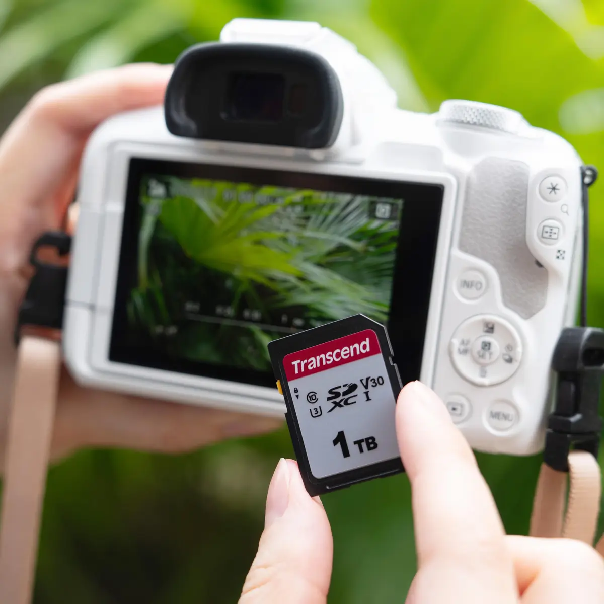 Transcend 1TB SDXC SD Card UHS-I U3 V30 4K UHD & Full HD | High-Speed Memory Card for DSLR & Trail Cameras - view 5