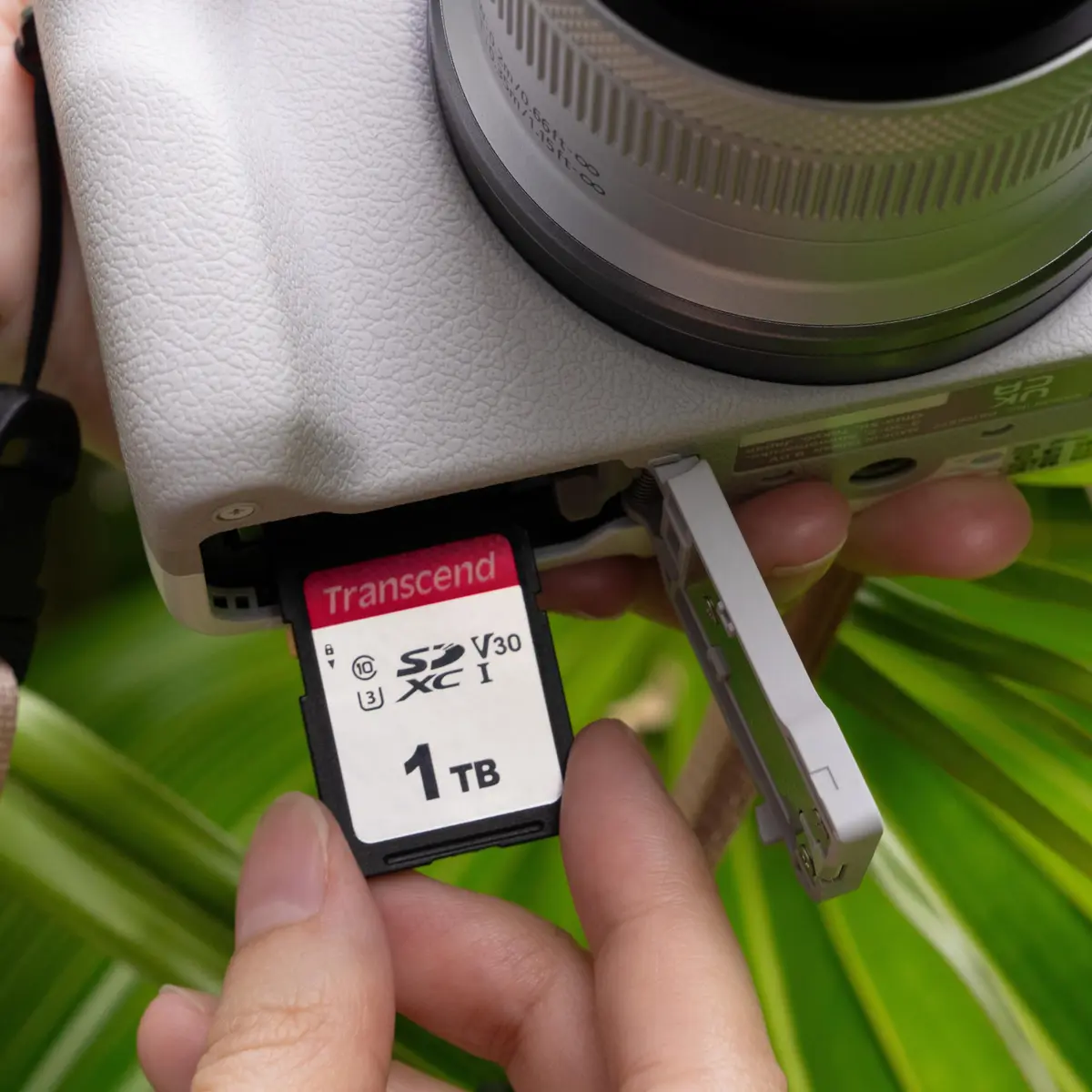 Transcend 1TB SDXC SD Card UHS-I U3 V30 4K UHD & Full HD | High-Speed Memory Card for DSLR & Trail Cameras - view 6