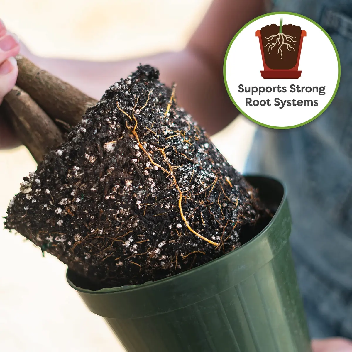 Perfect Plants Money Tree Potting Soil, 4 qt | Supports Healthy Roots & Lush Leaves - view 5