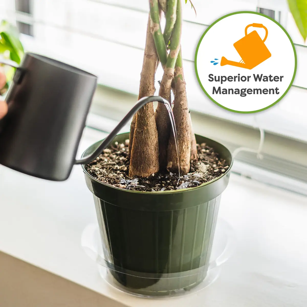 Perfect Plants Money Tree Potting Soil, 4 qt | Supports Healthy Roots & Lush Leaves - view 3