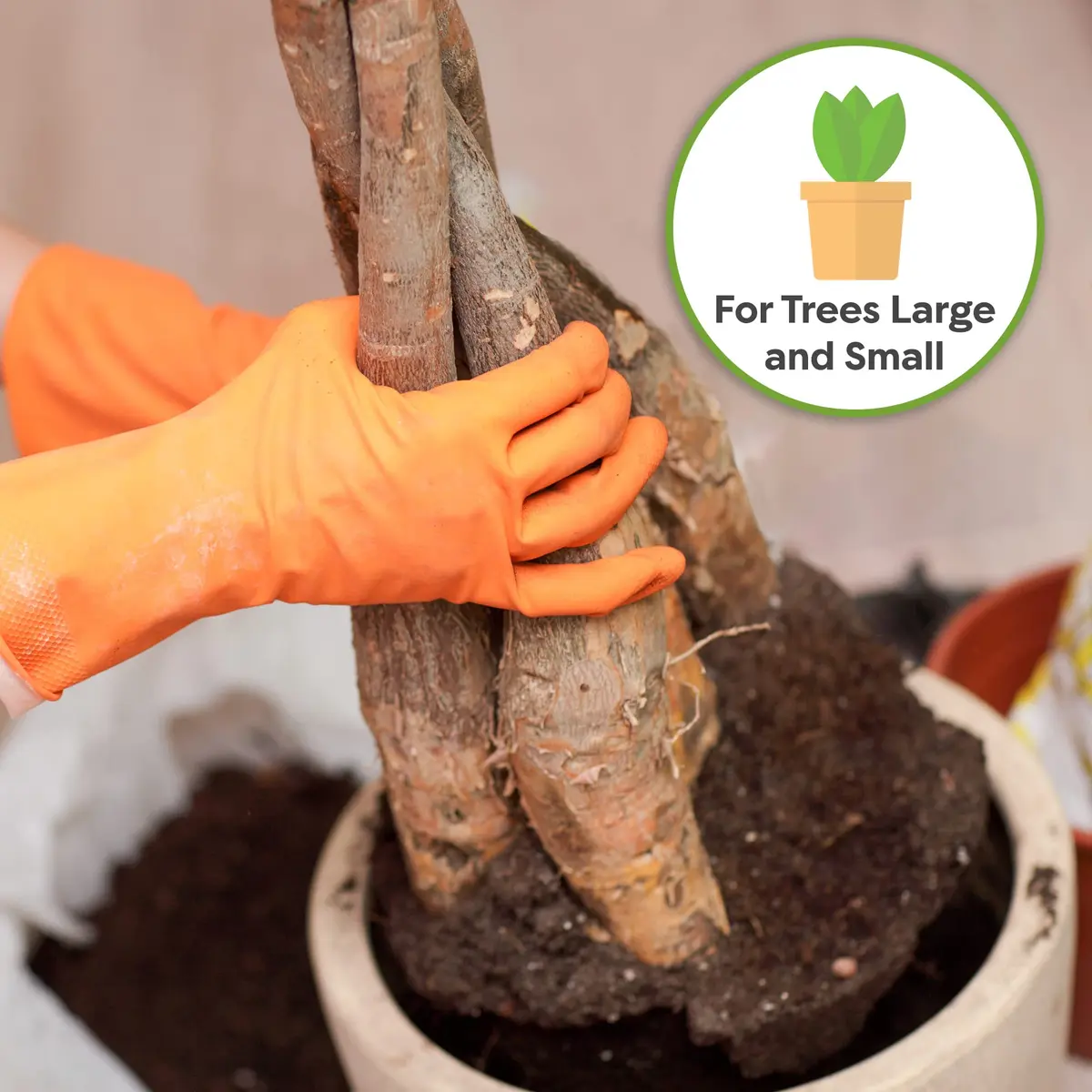 Perfect Plants Money Tree Potting Soil, 4 qt | Supports Healthy Roots & Lush Leaves - view 4