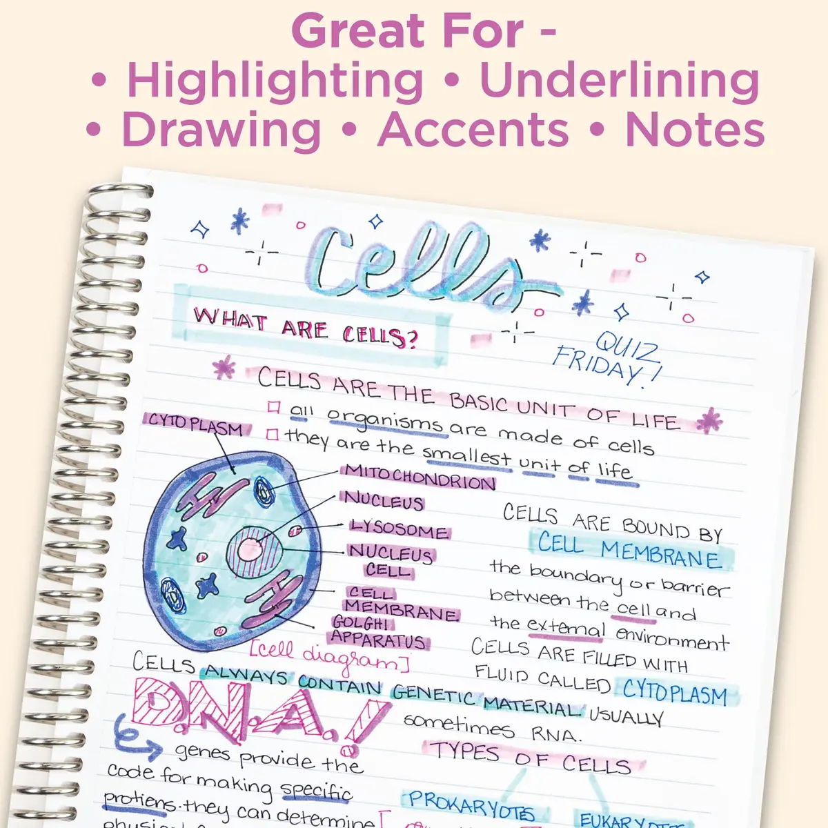 Zebra Pen Mildliner Neutral Vintage Highlighters, Dual Tip, 8-Pack | Smooth Ink Flow for Students & Office - view 5