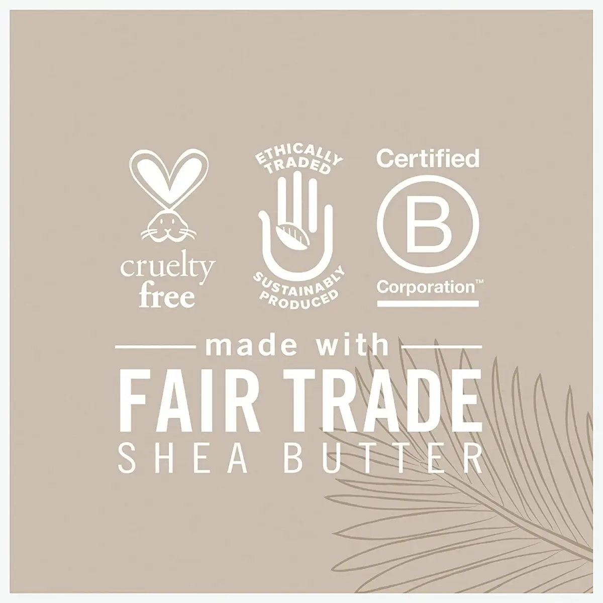 Shea Moisture Coconut Oil for Face - Daily Hydration Overnight Face Oil 200ml (6.76 Fl Oz) | Natural Skin Care for Dry Skin - view 5
