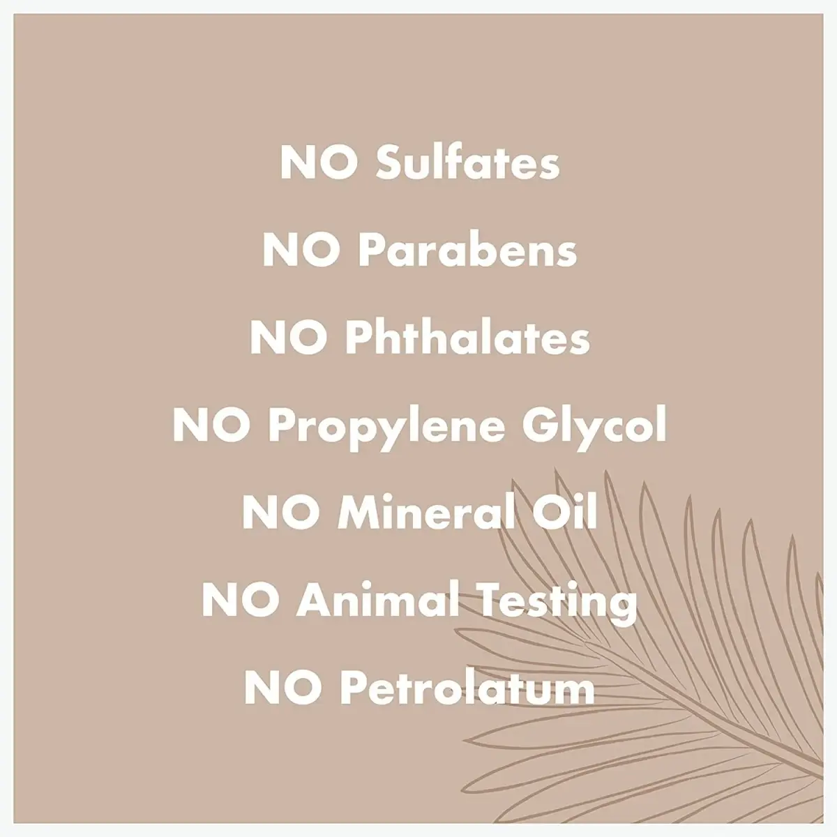 Shea Moisture Coconut Oil for Face - Daily Hydration Overnight Face Oil 200ml (6.76 Fl Oz) | Natural Skin Care for Dry Skin - view 4