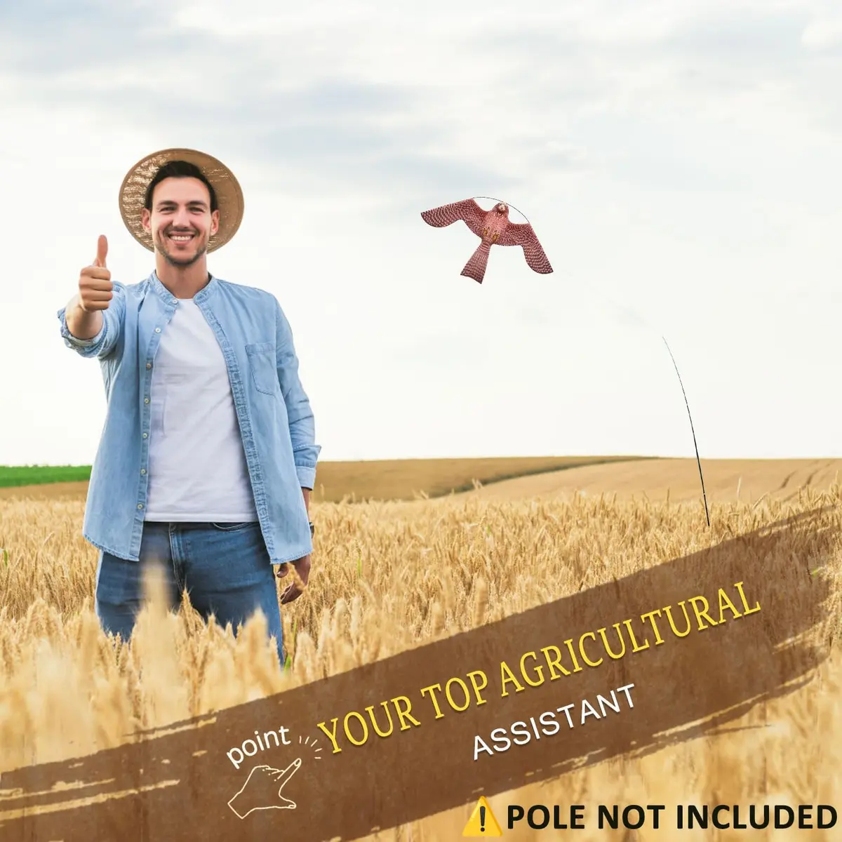 Flerigh Bird Scarer Kite Without Pole Bird Hawk Flying Kite-Style A | Realistic Bird Deterrent for Gardens & Crops - view 6