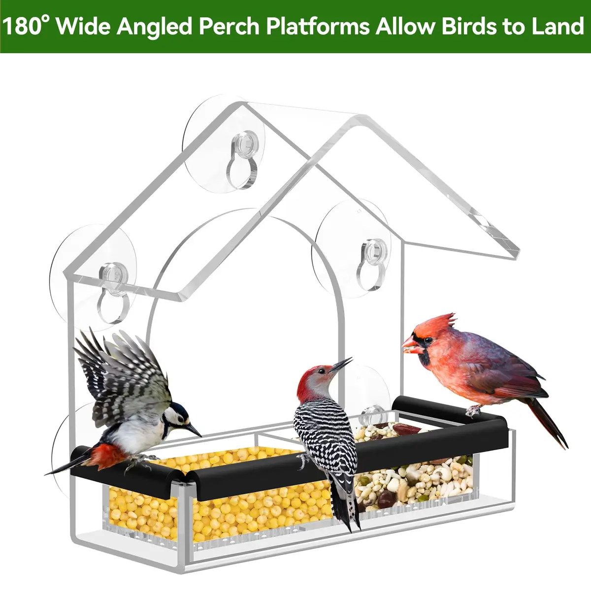 DY-SKTY Clear Window Bird Feeder with 5 Strong Suction Cups | Durable Acrylic Bird Watching Gift - view 5