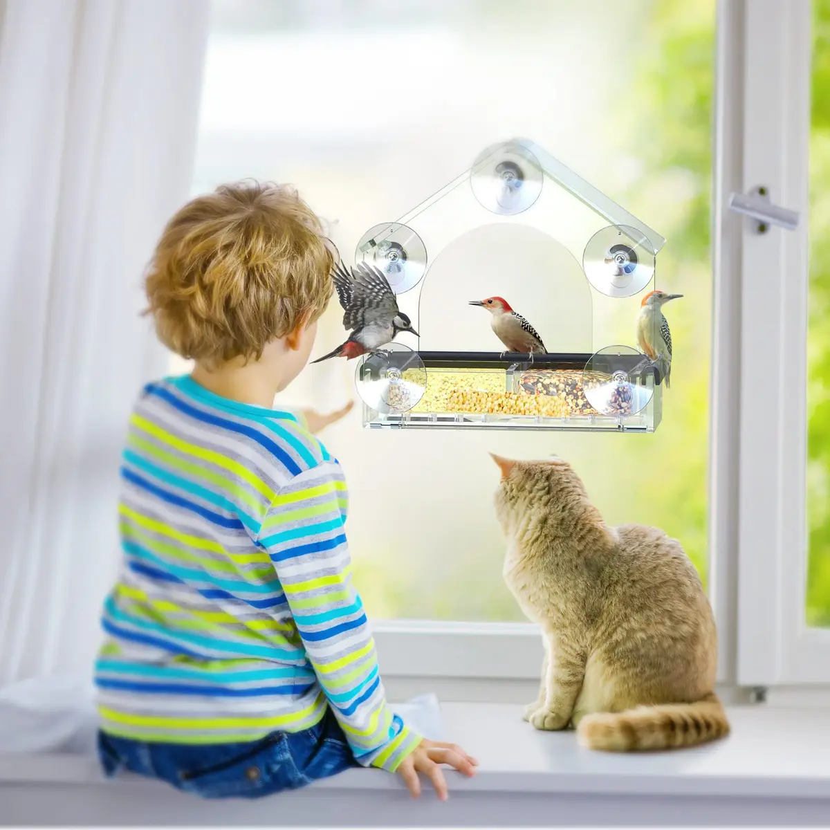 DY-SKTY Clear Window Bird Feeder with 5 Strong Suction Cups | Durable Acrylic Bird Watching Gift - view 6