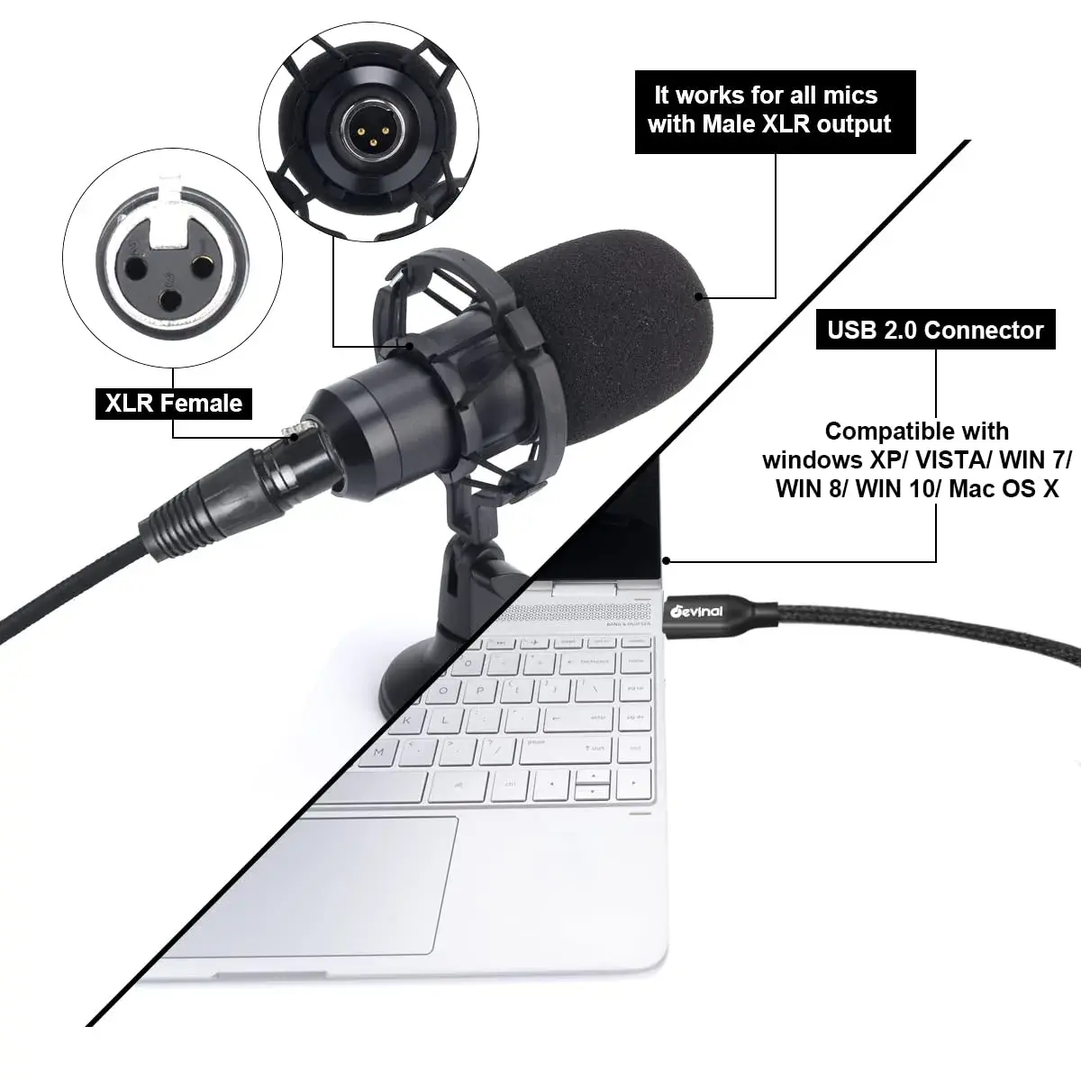 Devinal XLR to USB C Cable 3.05m (10 FT) | High Fidelity Digital Audio Recording - view 2