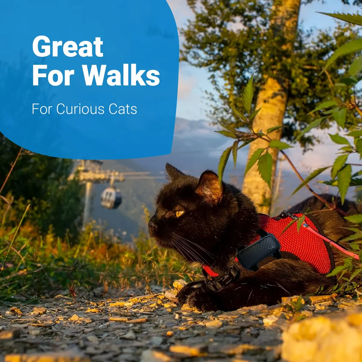 Tractive GPS Cat 4 Tracker Harness Attachment | Velcro Straps, Black, for Cat Walks - view 5
