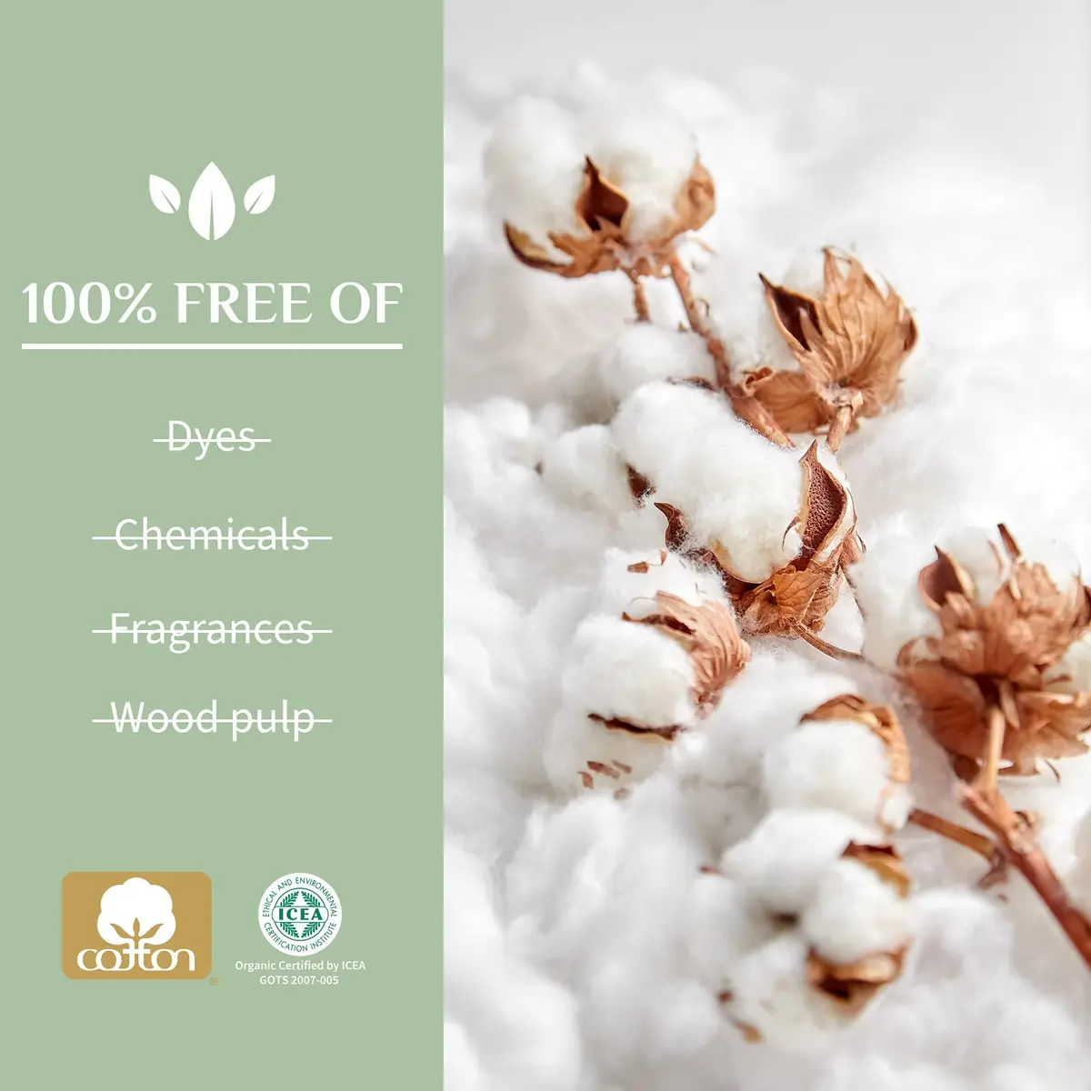 Organyc Certified Organic Cotton Swabs 1200 Count (6 Pack) | GOTS Certified Pure Cotton - view 3