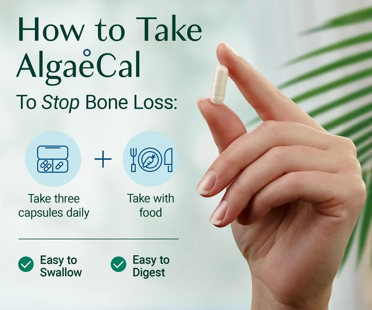 ALGAECAL Plant Based Calcium Supplement for Bone Strength | 90 Caps, 3 Packs, Organic & Natural - view 4