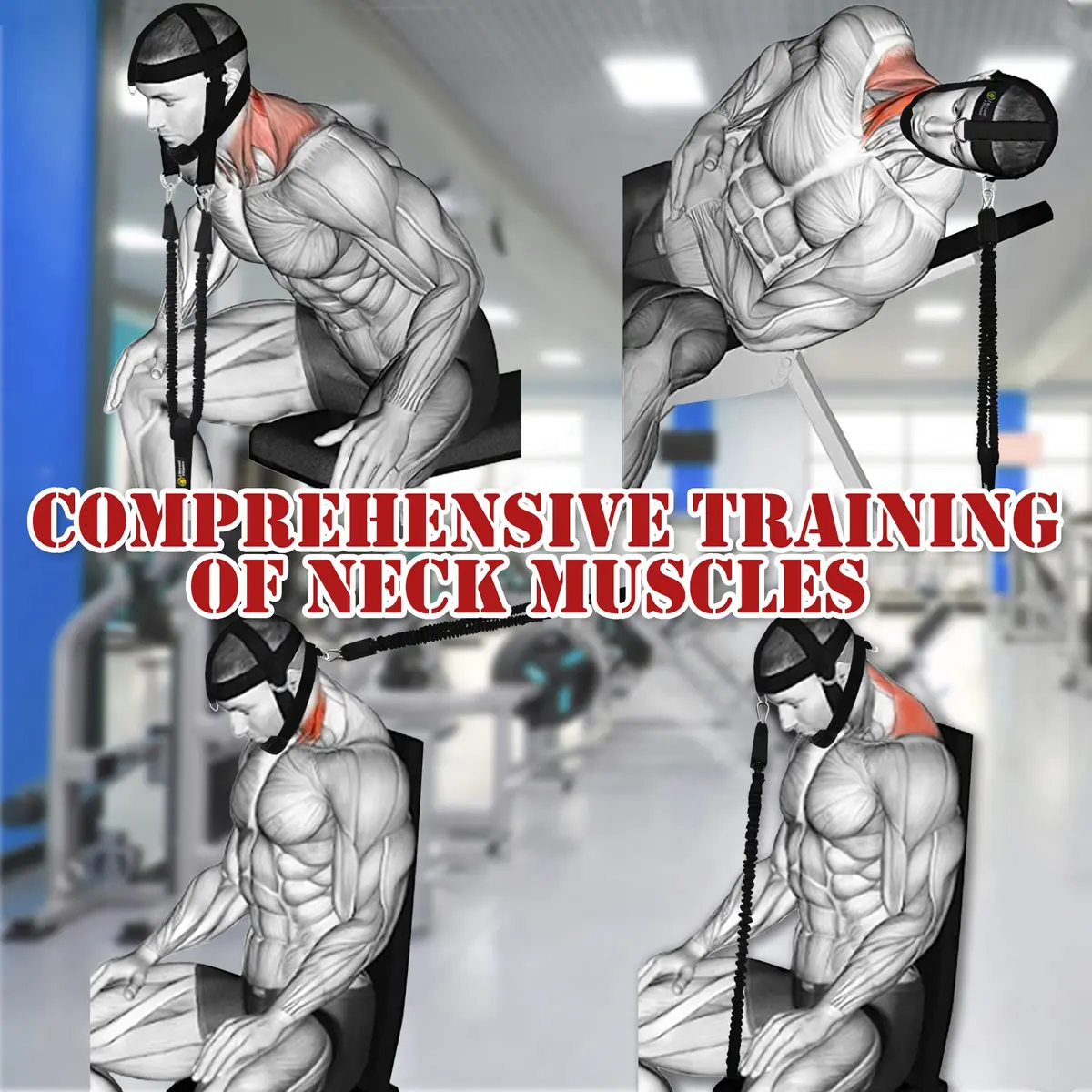 J Bryant Neck Harness Head Weight Lifting, Large | Adjustable for Neck & Shoulder Strength - view 5
