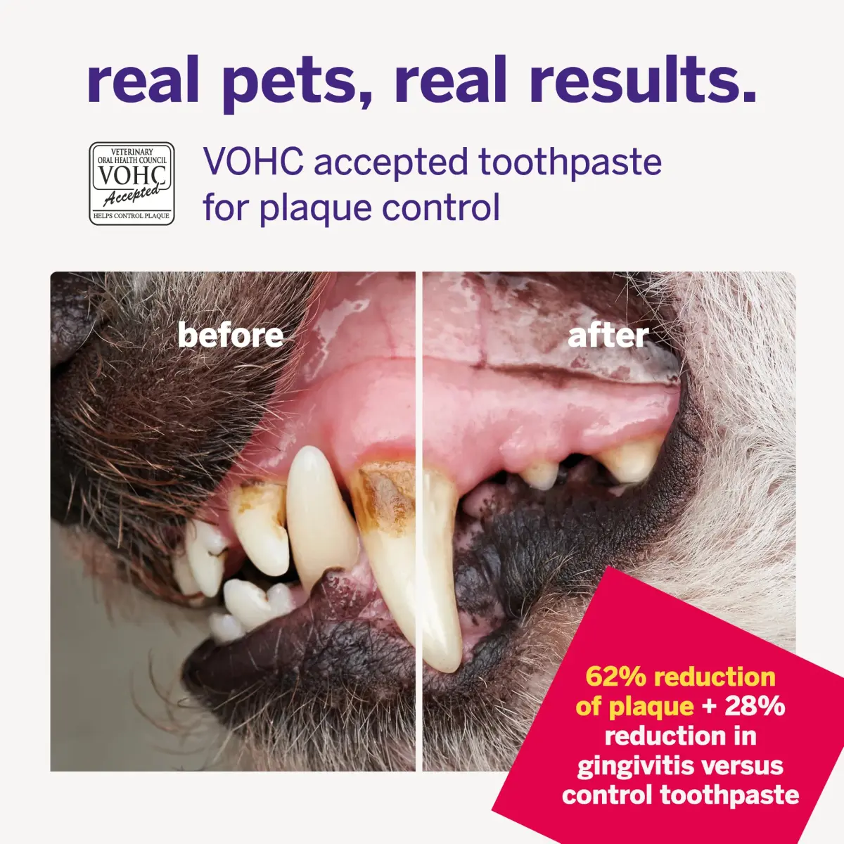 Petsmile VOHC Accepted Toothpaste Rotisserie Chicken 74g (2.5 Oz) | Vet-Approved Pet Dental Care for Dogs & Cats - view 6