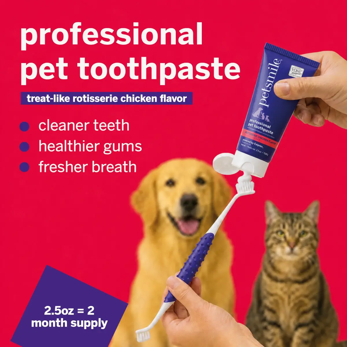 Petsmile VOHC Accepted Toothpaste Rotisserie Chicken 74g (2.5 Oz) | Vet-Approved Pet Dental Care for Dogs & Cats - view 2
