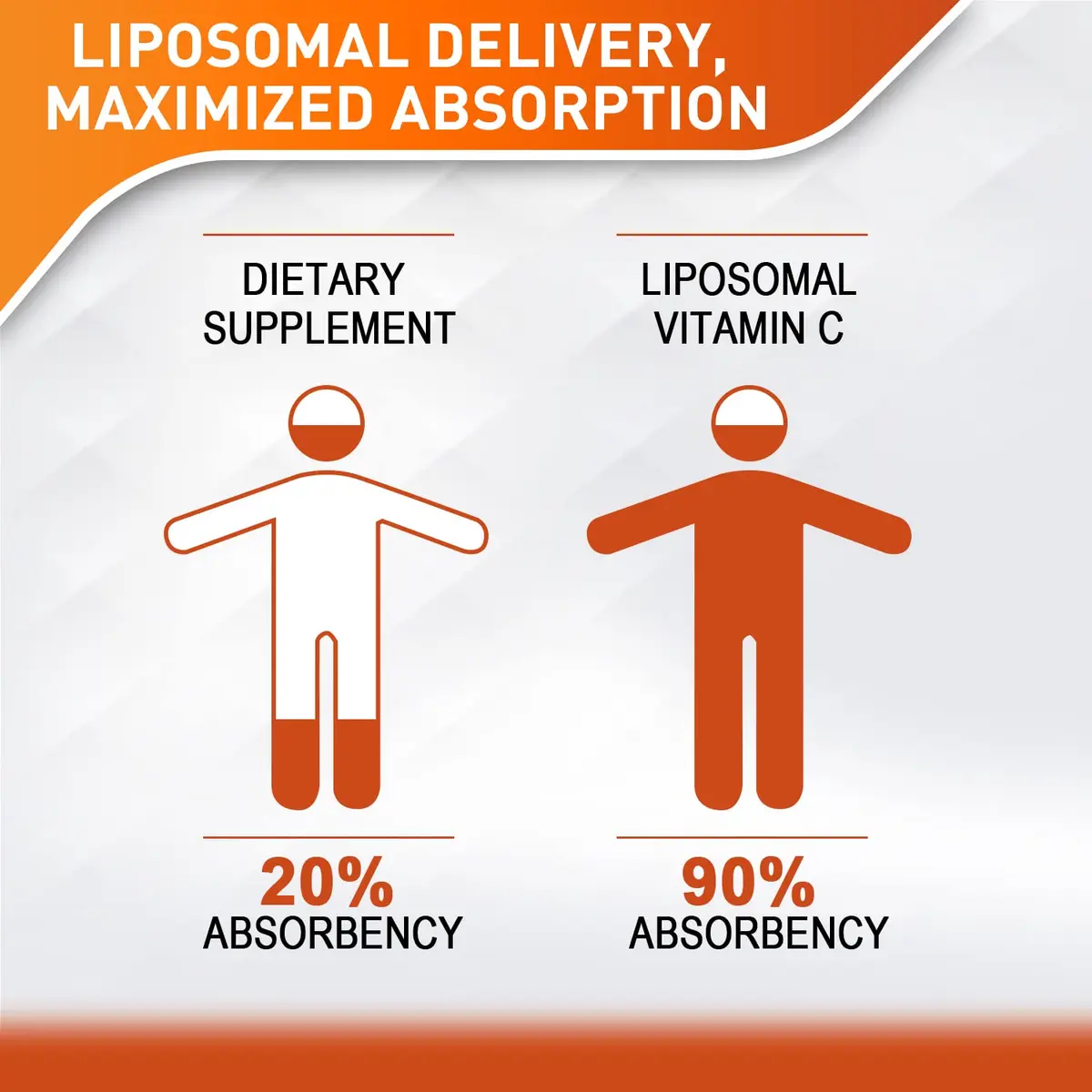 Vitablosom Liposomal Vitamin C 2000mg Liquid for Adults | High Absorption & Immune Support - view 2