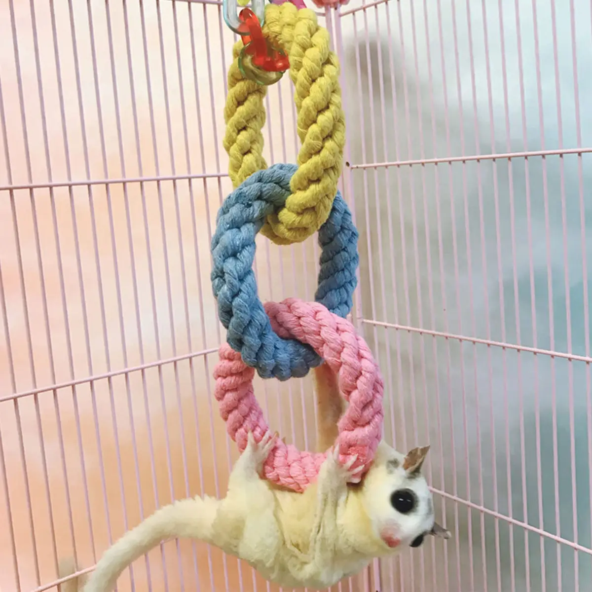 JWShang Climbing Rope Toys for Sugar Gliders & Small Pets | Vibrant, Durable, Easy to Connect, 2 Pack - view 2