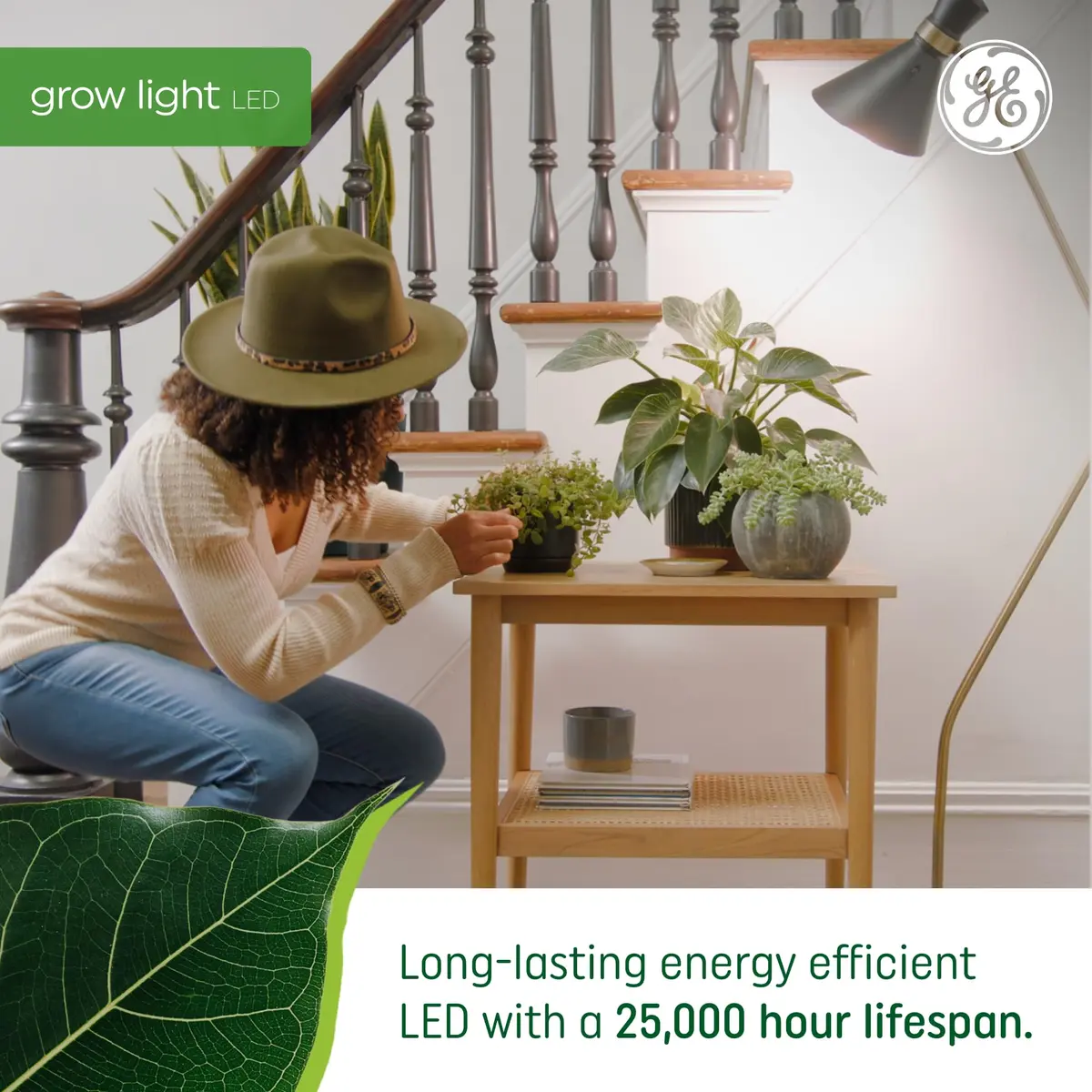 GE Grow LED Light Bulb for Plants Seeds and Greens | Balanced Spectrum, A19 (2 Pack) | Indoor Plant Growth - view 4