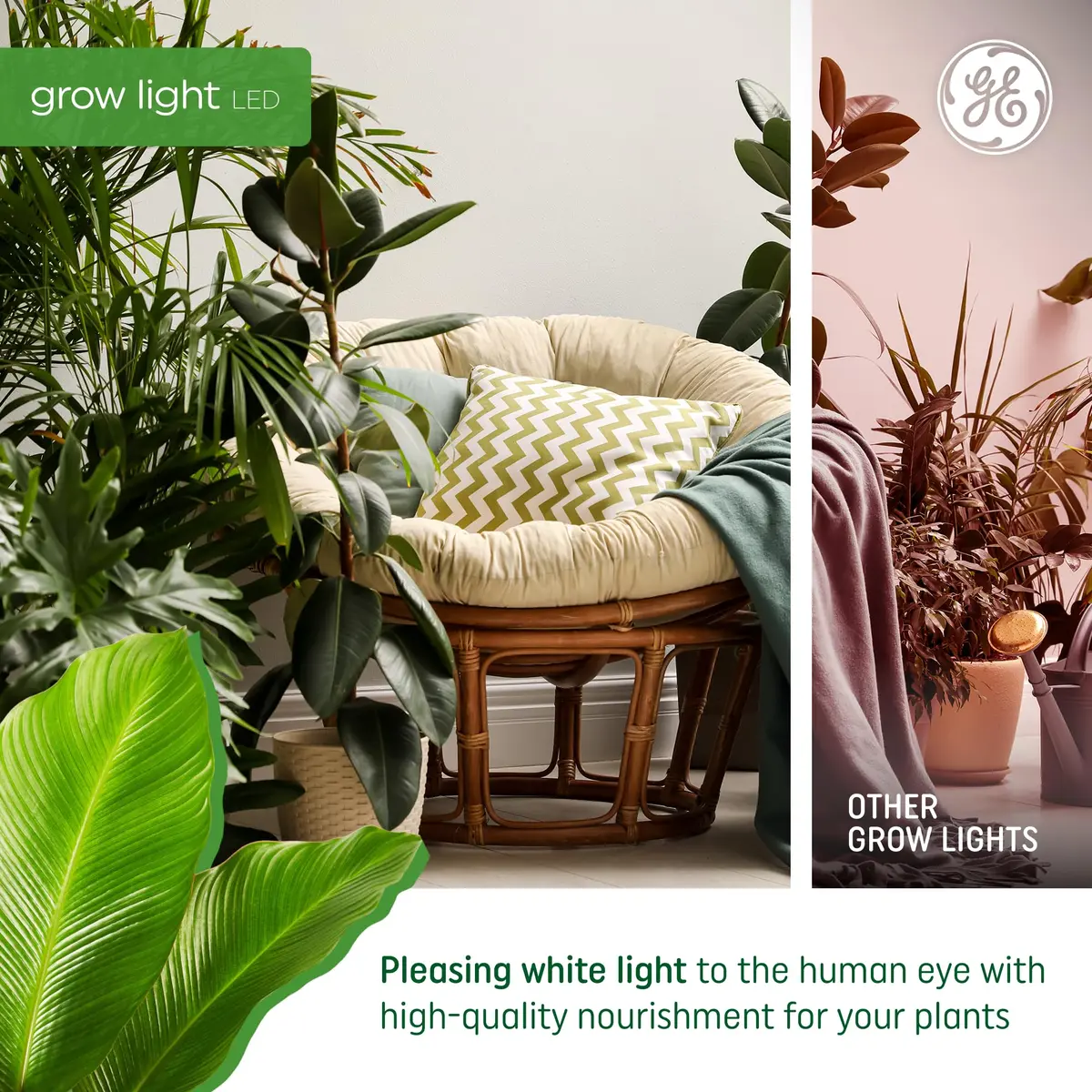 GE Grow Lights for Indoor Plants, A19 LED Bulbs, 2 Pack | Full Spectrum Red Light, 25,000 Hours Lifespan - view 4