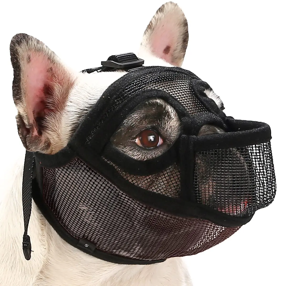 BARKLESS French Bulldog Muzzle, Full Panting Mesh Short Snout | Breathable Nylon & Mesh Design - main product image