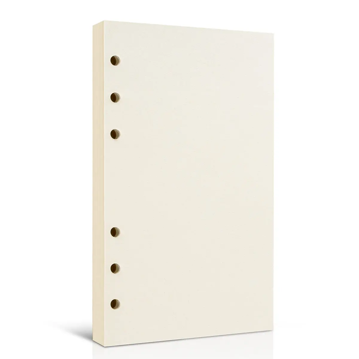 Tofun A6 Refillable Blank Paper for 6-Ring Binders 10.5 x 17cm | 80 Sheets, 160 Pages, Heavy 100GSM - main product image