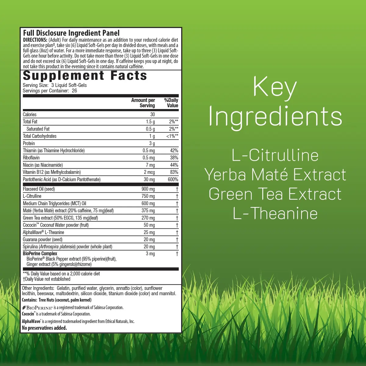 Irwin Naturals Body Fat Diet System-Six RED Nitric Oxide Booster 72 Count | Supports metabolism & energy - view 2